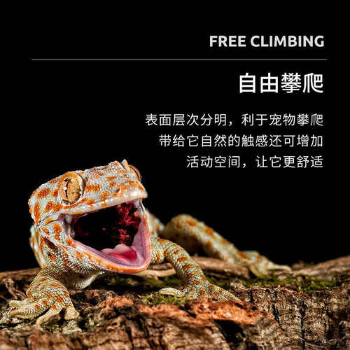 爬虫饲养箱生态橡木树皮造景版背景板守宫蜥蜴陆龟玻璃箱木箱背景