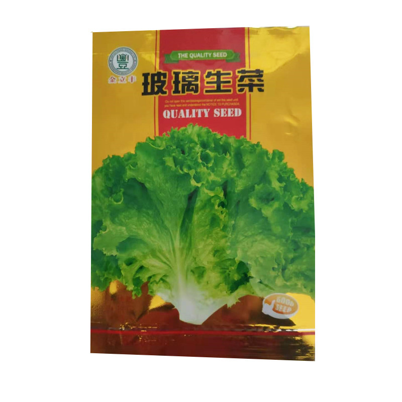 生菜种子玻璃奶油结球四季软尾紫叶沙拉汉堡意大利美国大速生菜籽
