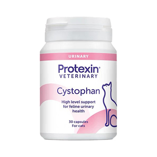 【自营】英国沙斯多芬胶囊猫咪尿血利尿通尿路结石膀胱炎泌尿问题