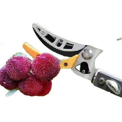 摘果神器多功能伸缩高空摘水果剪刀
