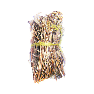 追风草野生药材生孩子坐月子熏洗风气寒腰腿湿与艾叶同用 包邮