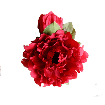 弗拉门头花7yearsoldlilgirl