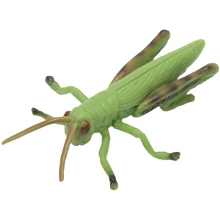 单个仿真动物昆虫模型蚊子七星瓢虫蝴蝶蜜蜂蟋蟀蜘蛛蜻蜓螳螂蝎子