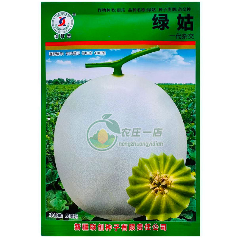 新玉姑甜瓜种子超甜绿姑香瓜种籽
