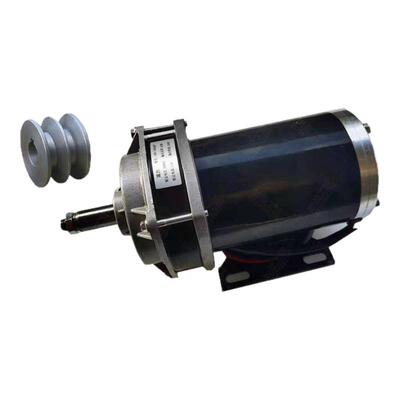 48V500W有刷减速永磁直流电机36V24V750W三轮车改装机械三鑫达