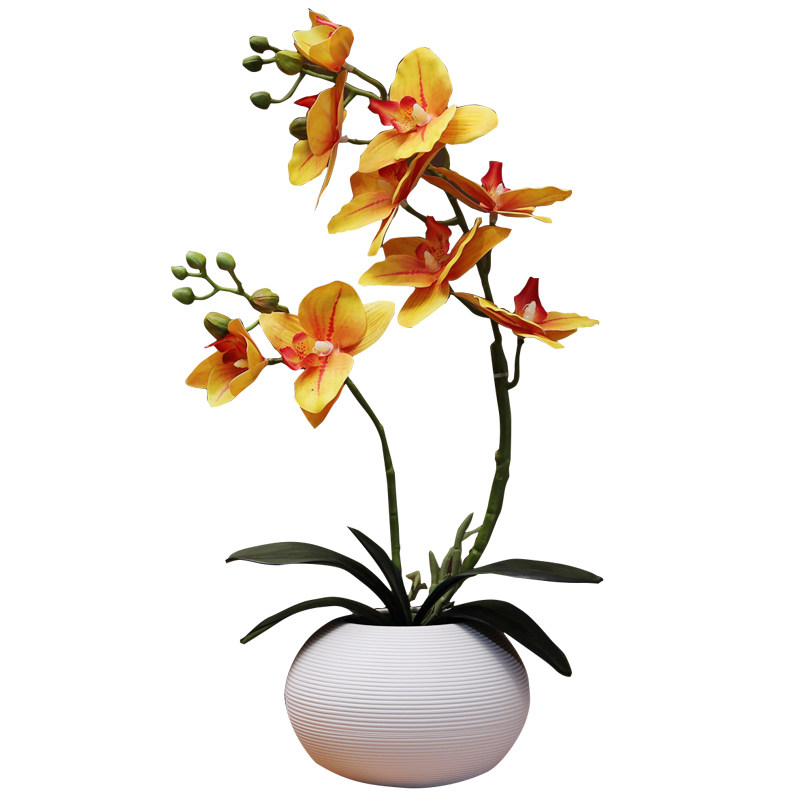 仿真兰花套装花代芙桌面装饰花