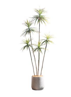 落地仿真植物仿生绿植龙血铁树