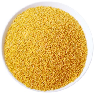 25年新米山东章丘龙山小米产妇五谷杂粮粥2.5Kg礼盒真空特产贡米