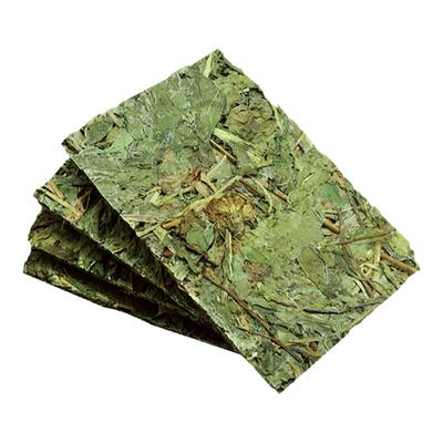 手工蒲公英片兔子龙猫荷兰猪去火