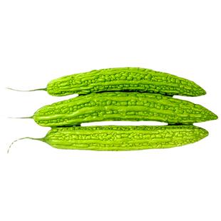 【顺丰快递】山东新鲜苦瓜蔬菜清苦脆嫩农家自种绿苦瓜