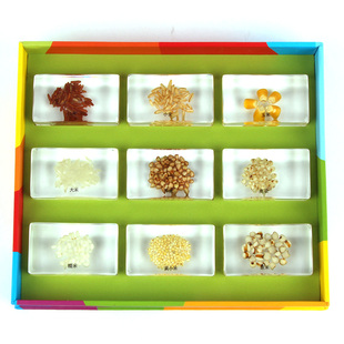 蒙氏科学教具 粮食家族标本包埋植物果实种子标本 种子传播方式