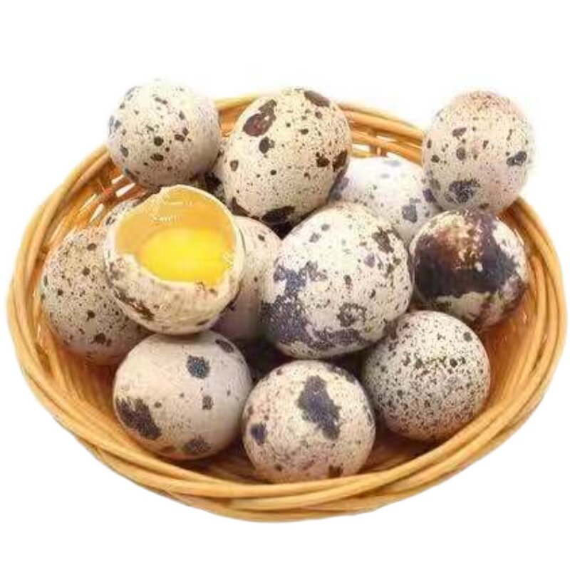 新鲜鹌鹑蛋120枚鹌鹑蛋生蛋鹑鸟蛋宝宝辅食生鹌鹑蛋