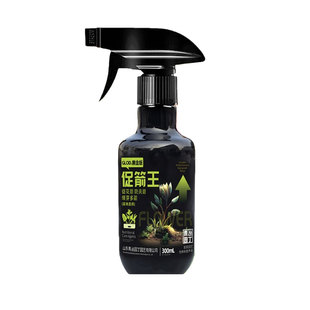 促箭王兰花开花专用青丛园丁多箭王锦卉直播促箭王蝴蝶兰促剑爆芽