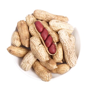 广东四粒红皮花生种子出油率高优质高产抗病大田种大粒花生米种子