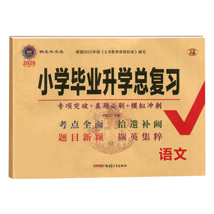 2026版小学毕业升学总复习语文数学英语湘少版人教版试卷小升初小学升学多轮夯基总复习 名校招生真题卷升神龙真卷上下册五六年级