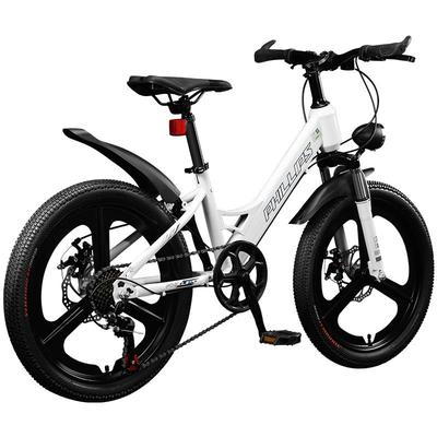 菲利普官方儿童自行车