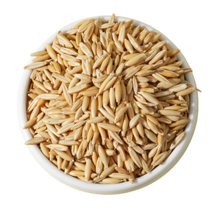 白麦草籽鹦鹉鸟食虎皮牡丹玄凤训练奖励专用零食带壳燕麦鸟粮粮食