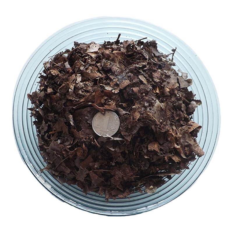 腐熟天然纯橡树叶君子兰专用有机腐叶土腐熟纯松针兰花专用营养土