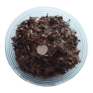腐熟天然纯橡树叶君子兰专用有机腐叶土腐熟纯松针兰花专用营养土