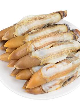 名扬湖海蛏子肉无沙干净肉肥鲜美