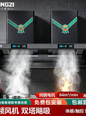 扬子变频双塔油烟机高效排烟可挥手大吸力纯铜风机食堂厨房专用