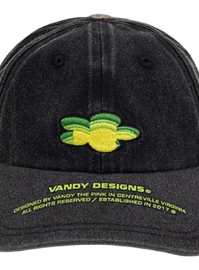 VandyThePink水洗牛仔鸭舌帽