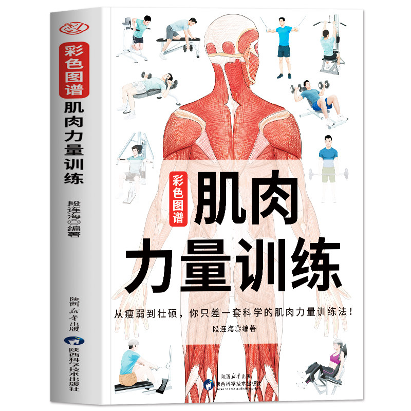 肌肉力量训练彩色图谱正版 肌肉力量训练解刨图谱 健身教程教练体能减脂肌肉健美训练 人体肌肉结构解剖健身书籍肌肉力量训练图
