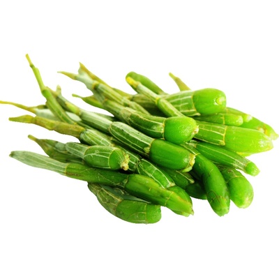 现采现发霍山米斛鲜条非铁皮