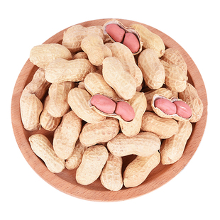 鲁花一号花生种子大果花生种子籽抗病早熟高产耐重茬蔬菜种子春季