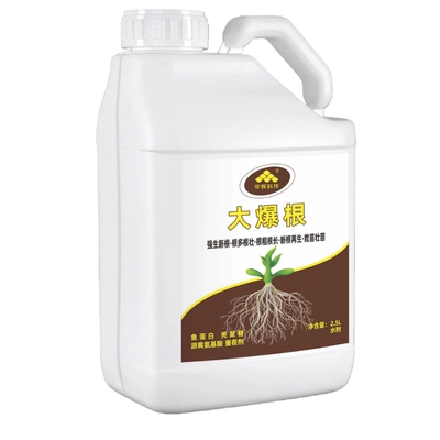 年辉腐植酸水溶肥提苗壮根生根肥