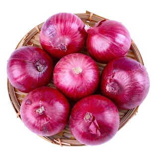 新鲜洋葱头现挖现发水果当季农家自种蔬菜生吃甜辣紫皮圆葱头批发
