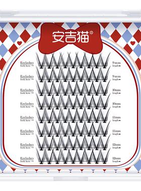 安吉猫鸢尾花浓密V型单簇睫毛