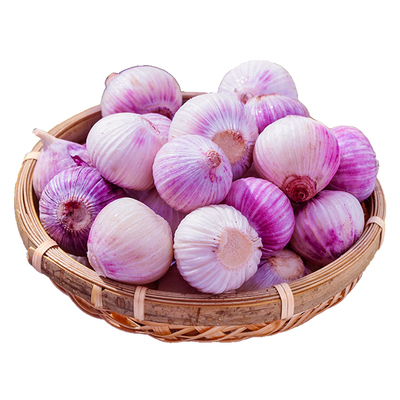 云南紫皮独头蒜新鲜蒜头新蒜米