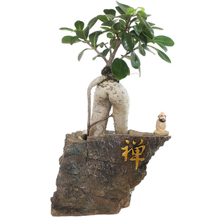 创意达摩禅意家居客厅中式装饰工艺品办公室书房榕树桌面茶几摆件