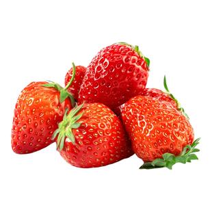 三色草莓礼盒新鲜水果白草莓淡雪白色奶油牛奶红颜草莓顺丰包邮