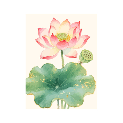 荷花数字油画diy填充手工自己涂