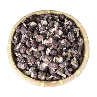 椴木小香菇干货500g野外生长木头香菇湖北农家树菇特小蘑茹厚冬菇