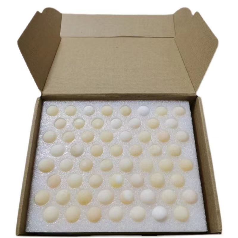 乌龟甲鱼蛋可食用新鲜现发清水