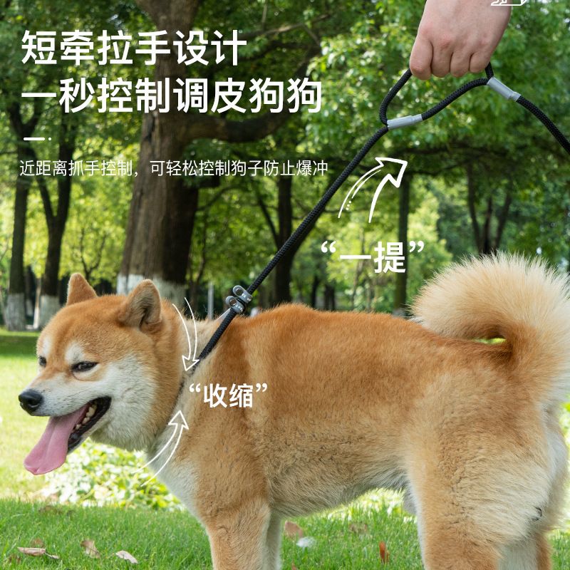 跨境新款宠物牵引绳中大型冲P绳狗挣脱不防爆遛狗p狗链防绳手勒绳