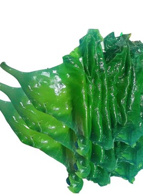 饭包海带东北打包菜薄海带盐渍海带商用凉拌菜新鲜海菜火锅菜凉菜