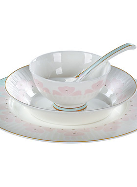家用隔热欧式骨瓷碗菜盘餐具