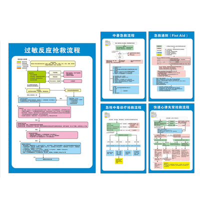 医院抢救室流程步骤挂画过敏性