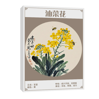 国画果蔬花卉动物风景临摹卡