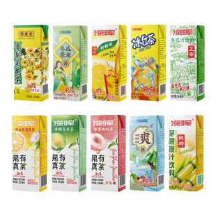 深晖冬瓜茶饮料马蹄爽茅根甘蔗汁果汁盒装菊花茶竹蔗水饮料整箱批