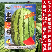 Jincheng № 5 100 капсул, пакетик такой сладкий, такой большой, такой вкусный