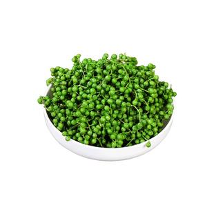 小卓四川新鲜特麻九叶青花椒食用350g江津现摘真空保鲜藤椒商家用