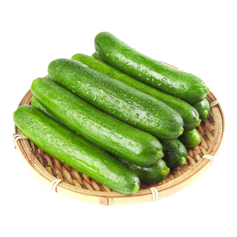 水果青瓜新鲜小黄瓜沙拉西餐食材