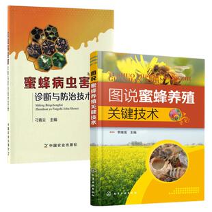 图说蜜蜂养殖关键技术+蜜蜂病虫害诊断与防治技术手册 全2册 养蜂书籍大全技术养蜜蜂教程书高效中蜂养殖蜂病防治蜂群指导实用