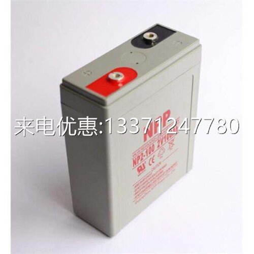 NPP耐普蓄电池NP2Ah免维护2V100AH原装正品UPS电源直流屏专用