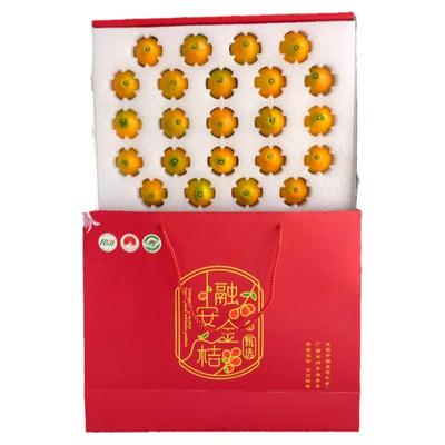 广西融安脆蜜金桔手提袋礼盒5斤